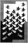 escher-mareecielo.jpg (96979 byte)
